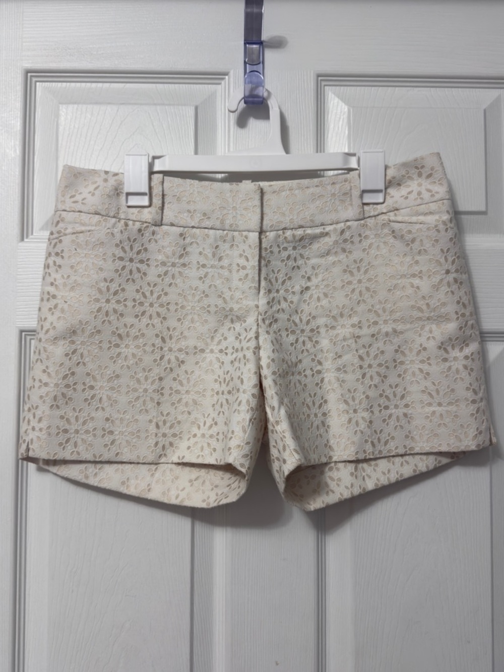 The Limited Cream Eyelet High Waist Shorts